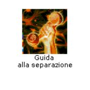Chi siamo